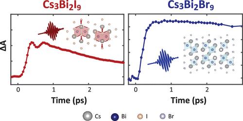 Connectivity-Dependent Exciton–Phonon Coupling in Cesium Bismuth Halide Quantum Dots