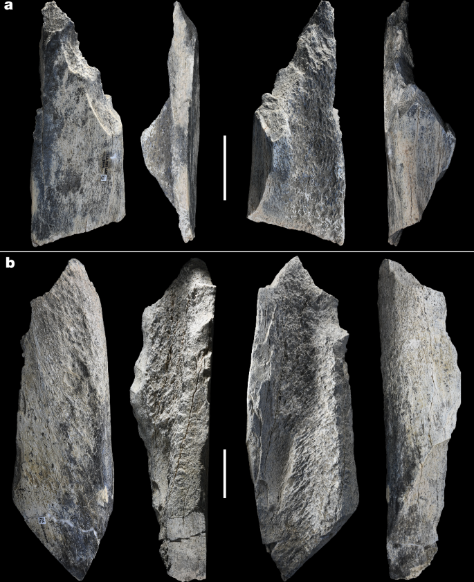 Systematic bone tool production at 1.5 million years ago
