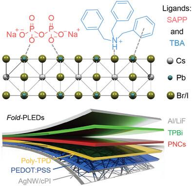 Tribenzyl Organic Cations Carried Multidentate X-Type Lewis Soft Base for High-Performance Foldable Perovskite Light-Emitting Diodes