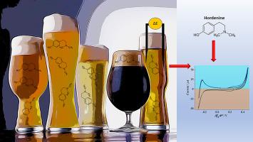 Determination of hordenine in beer samples and bodybuilding supplement at the electrified liquid-liquid interface