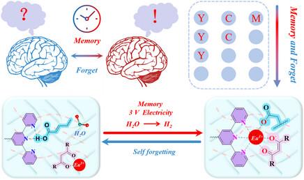 A Universal Strategy for Reversible and Spatiotemporal Electrofluorochromism of Eu3+ Metallogels Driven by Cooperative Chemical Reactions with Biomimetic Information “Memorizing-forgetting” Behavior