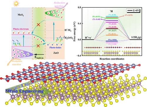 Strain Engineering the Optoelectronic and HER Behavior of MoS2/ZnO Heterojunction: A DFT Investigation