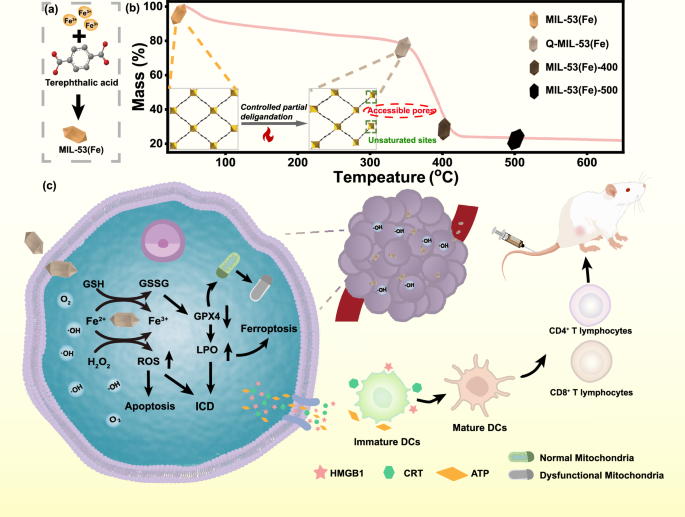 Quasi Fe MIL-53 nanozyme inducing ferroptosis and immunogenic cell death for cancer immunotherapy