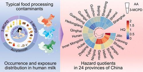 Occurrence and Nationwide Risk Assessment of Typical Food Processing Contaminants in Human Milk in China