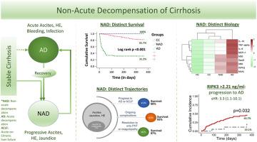 Clinical and Pathophysiological Characteristics of Non-acute Decompensation of Cirrhosis