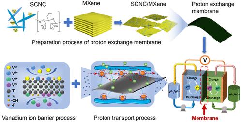 Fabrication of Sulfonated Cellulose Nanocrystal/MXene Hybrid Proton Exchange Membrane and Its Synergistic Effect in Vanadium Redox Flow Battery