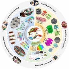 Bio-inspired multifunctional flexible visual sensors based on structural color materials