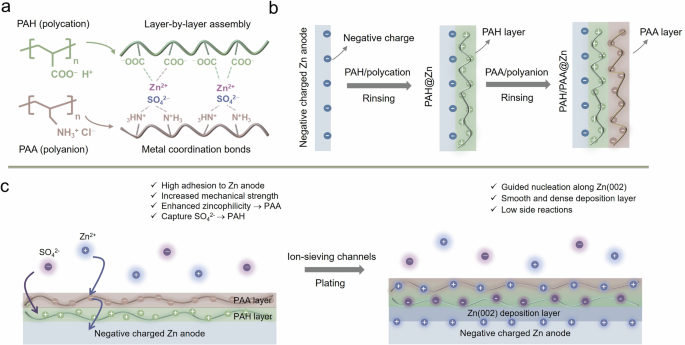 Self-assembled polyelectrolytes with ion-separation accelerating channels for highly stable Zn-ion batteries