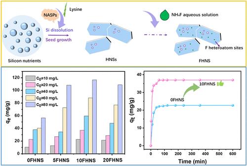 Facile Synthesis of Hierarchical MFI Zeolite Nanosheets for Enhanced Dye Adsorption Performance
