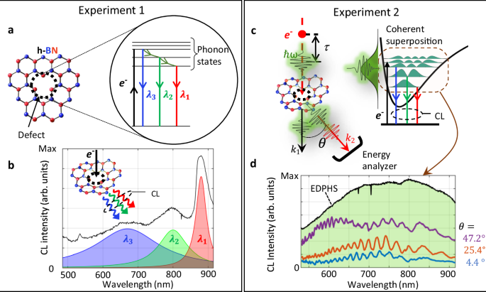 Ultrafast phonon-mediated dephasing of color centers in hexagonal boron nitride probed by electron beams