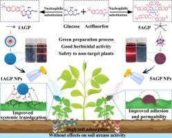 Prodrug self-assemblies based on acifluorfen and glucose for improving the effective utilization and reducing the risks to environment