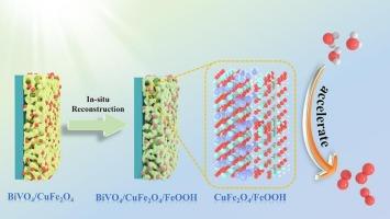 In-situ surface reconstruction of BiVO4/CuFe2O4 photoanode for efficient and robust solar water oxidation