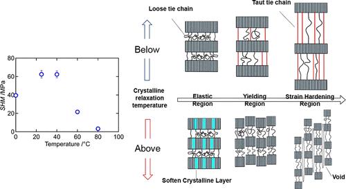 Temperature Dependence of Strain-Hardening Behavior of Polyethylene Solids Evaluated by SAXS, WAXD, and Raman Spectroscopy