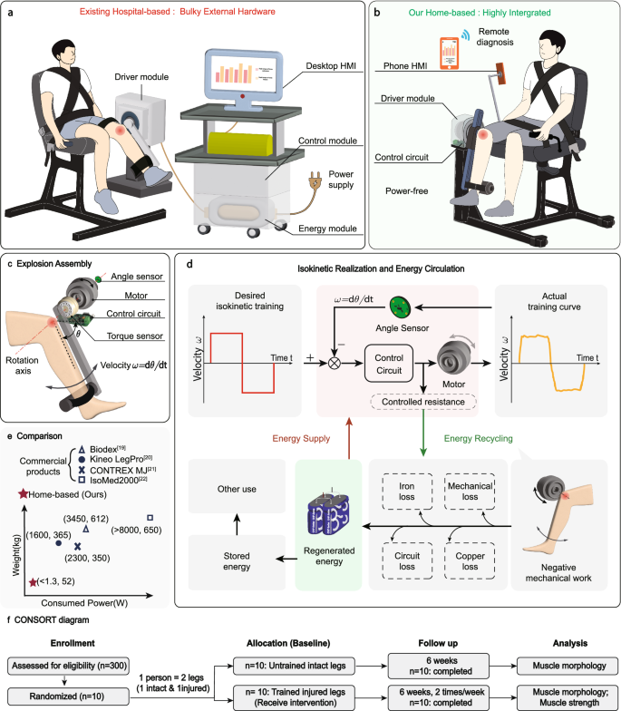 Power-free knee rehabilitation robot for home-based isokinetic training
