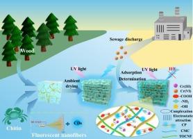 Ambient-dried biomass 3D porous aerogel with “brick-mortar-binder” structure for the determination and adsorption of Cr(VI)