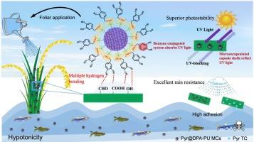 Natural phenolic Acid-Functionalized polyurethane microcapsules with superior foliar retention and UV protection for improving pesticide efficacy and safety