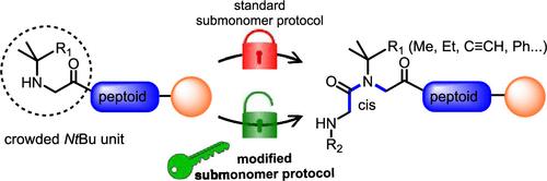 Solid-Phase Synthesis of Peptoid Oligomers Containing Crowded tert-Butyl Side Chains