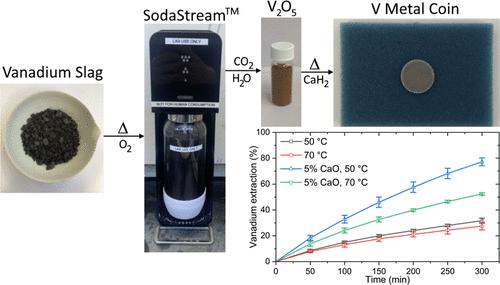 Leaching Vanadium-Rich Steel Slag Using Carbonated Water from a Domestic SodaStream