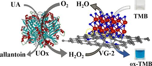 Covalent Coupling-Regulated rGO/VN Nanocomposite Enabling Nitrogen Defects to Remarkably Boost the Peroxidase-Like Catalytic Efficiency for the Ultrasensitive Colorimetric Assay of Uric Acid
