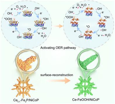 Dynamic Reconstruction of Ce-Doped Fe2P/NiCoP Hybrid for Ampere-Level Oxygen Evolution in Anion Exchange Membrane Water Electrolysis