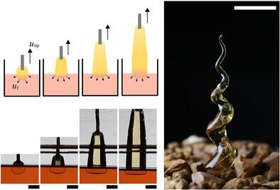 Morphogenic Growth 3D Printing