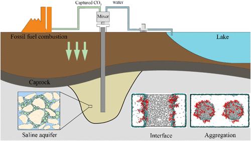 Microscopic Mechanism of the Polyacrylamide Hydrophilic Chain on Nanoemulsion-Based Carbon Geological Sequestration