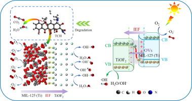 Construction of OVs-mediated TiOF2/MIL-125 (Ti) S-scheme heterojunctions for efficient antibiotics destruction: Mechanism, degradation pathway, and toxicity analysis