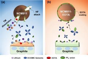 A functional slurry additive for robust interphase and stabilized high-voltage nickel-rich cathodes in lithium-ion batteries