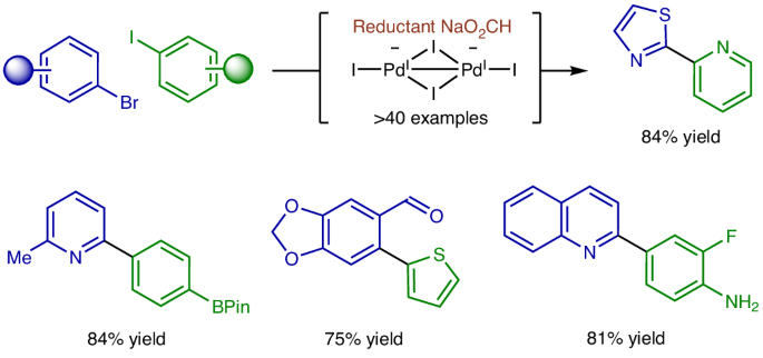 Aryl halide cross-coupling via formate-mediated transfer hydrogenation