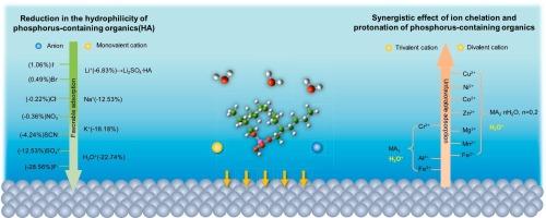 Ionic effect enhanced the adsorption of phosphorus-containing organics (PCOs) from complex wastewater