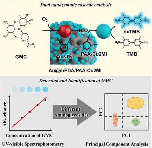 Dual-Nanozyme Cascade for System-Wide Specific Colorimetric Detection of Aminoglycoside Antibiotics