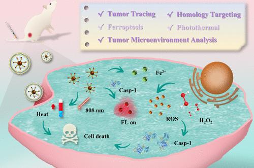 Advancing Tumor Microenvironment Analysis: A Fluorescence Nanosystem for Caspase-1 Monitoring and Synergistic Therapy