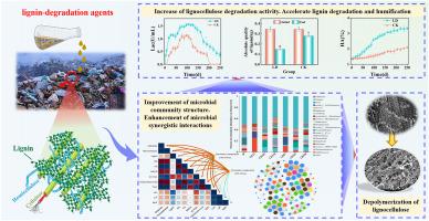 Biostimulants accelerate lignin degradation in semi-aerobic landfills, assisting overall lifecycle management and sustainable development of landfills