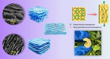 Elastic, flexible, and tough hierarchical polyimide aerogels with dynamic reversible physical entanglement structure