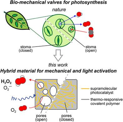 Mechanical and Light Activation of Materials for Chemical Production