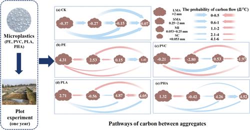 Microplastic-Induced Alterations in Soil Aggregate-Associated Carbon ...