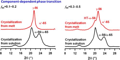 Odd–Even and Even–Odd Copolyamides PA(56-co-65): Synthesis, Crystallization, and Properties