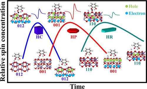 Overlooked Role of Photogenerated Holes in Persistent Free Radical Formation on Hematite