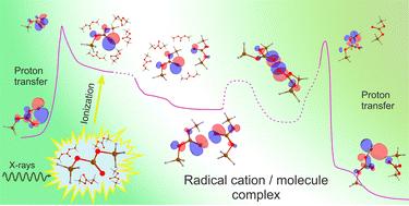 Primary radical ions in irradiated carbonates†
