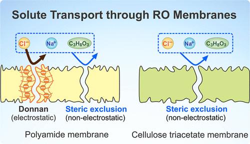 Relating Solute–Membrane Electrostatic Interactions to Solute Permeability in Reverse Osmosis Membranes
