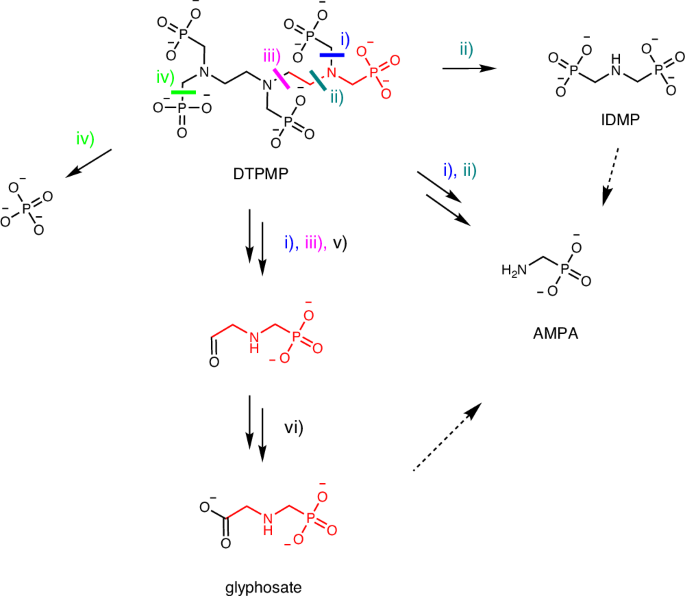 Glyphosate is a transformation product of a widely used aminopolyphosphonate complexing agent