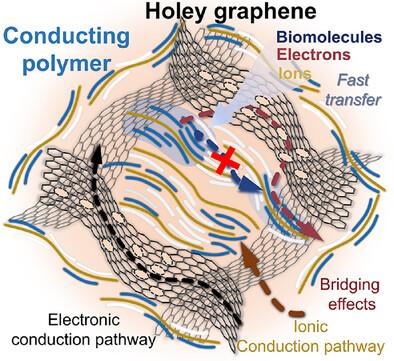 A General Strategy for Exceptionally Robust Conducting Polymer-Based Bioelectrodes with Multimodal Capabilities Through Decoupled Charge Transport Mechanisms