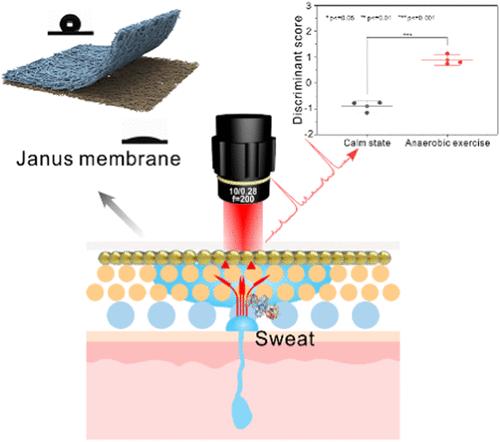 Janus Membrane-Based Wearable Dual-Channel SERS Sensor for Sweat Collection and Monitoring of Lactic Acid and pH Levels