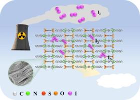 Ionic self-assembled single-crystal for highly efficient capture of iodine
