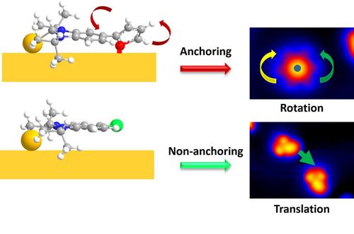 N-Heterocyclic Carbene vs. Thiophene – Chiral Adsorption and Unidirectional Rotation on Au(111)