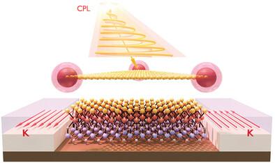 Engineering Quantum Anomalous Hall Effect with a High Chern Number in Nonmagnetic Second-Order Topological Insulator