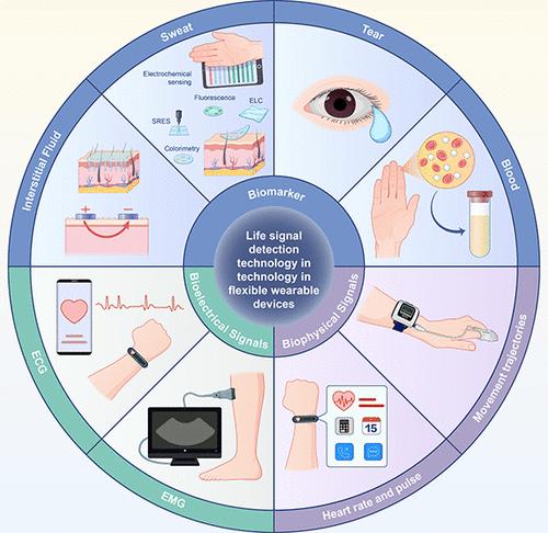 Advancing Sports Cardiology: Integrating Artificial Intelligence with Wearable Devices for Cardiovascular Health Management