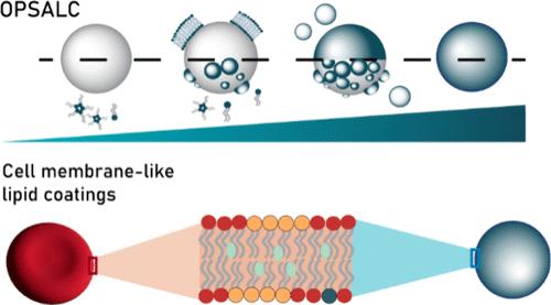 OPSALC: On-Particle Solvent-Assisted Lipid Coating to Create Erythrocyte Membrane-like Coatings with Improved Hemocompatibility