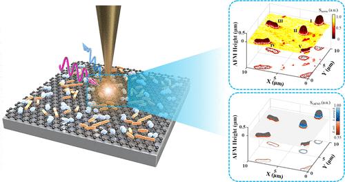 Single-Bacterium Diagnosis via Terahertz Near-Field Dielectric Nanoimaging