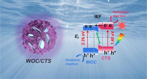 Carbon Doping and Oxygen Vacancy-Tungsten Trioxide/Cu3SnS4 S-Scheme Heterojunctions for Boosting Visible-Light-Driven Photocatalytic Performance